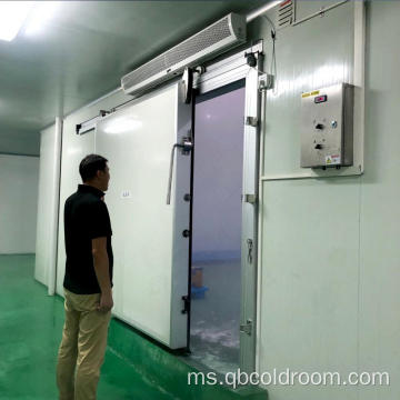 Bilik beku cepat -30Degree